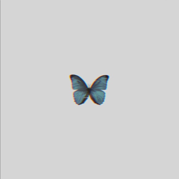 sophiabello3268